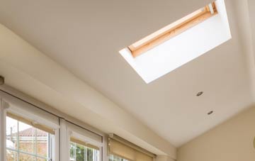 Branshill conservatory roof insulation companies