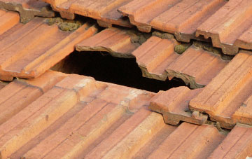 roof repair Branshill, Clackmannanshire