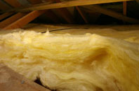 Branshill pitch roof insulation
